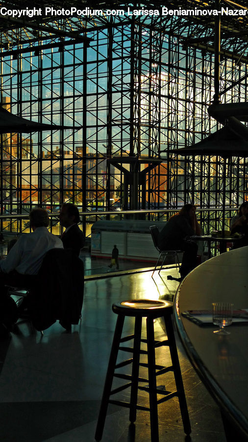 People, Person, Human, Bar Counter, Pub, Cafe, Cafeteria