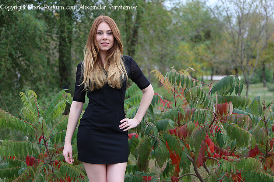 Human, People, Person, Fern, Plant, Blouse, Clothing