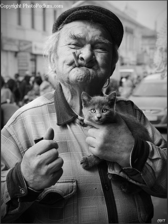People, Person, Human, Abyssinian, Animal, Cat, Mammal