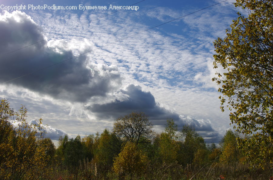 Azure Sky, Cloud, Outdoors, Sky, Cumulus, Landscape, Nature