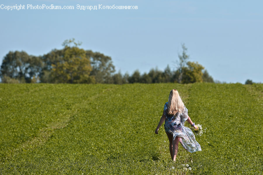 People, Person, Human, Blonde, Female, Woman, Field