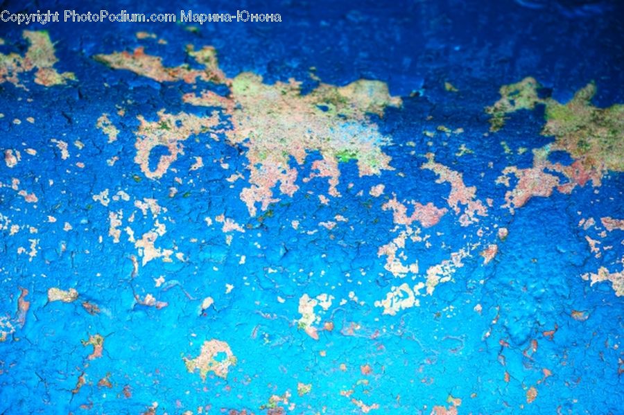 Algae, Coral Reef, Outdoors, Reef, Sea, Sea Life, Water