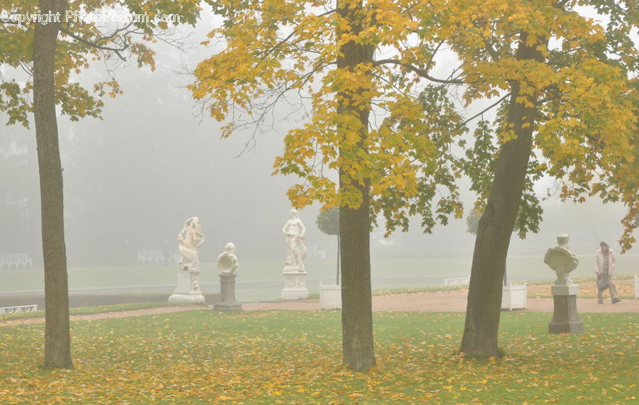 Landscape, Nature, Scenery, Fog, Pollution, Smog, Smoke