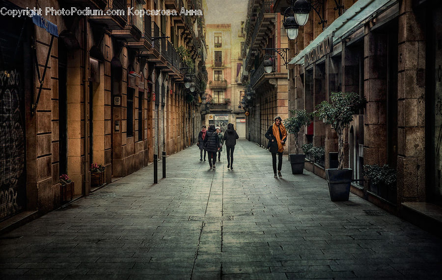 Alley, Alleyway, Road, Street, Town, Plant, Potted Plant