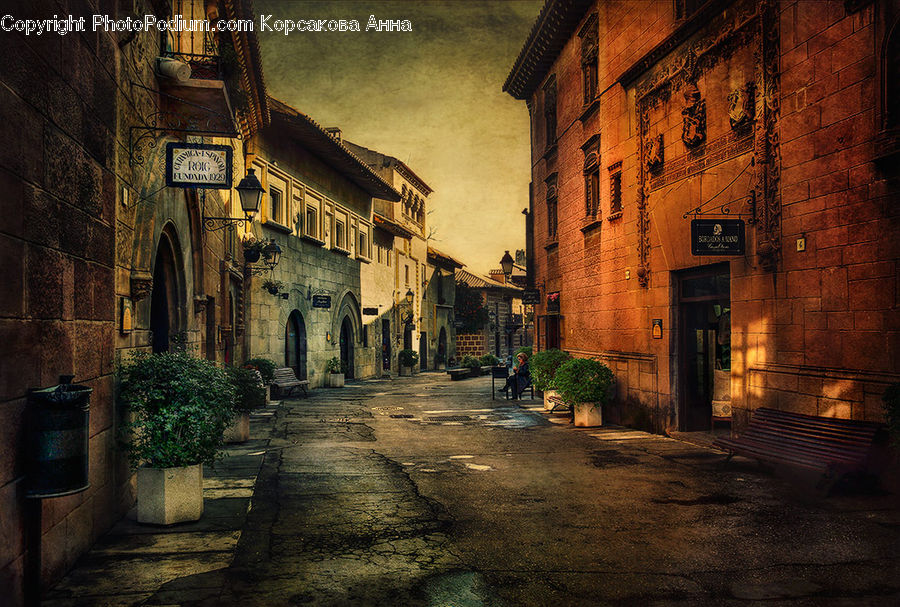 Bench, Plant, Potted Plant, Alley, Alleyway, Road, Street