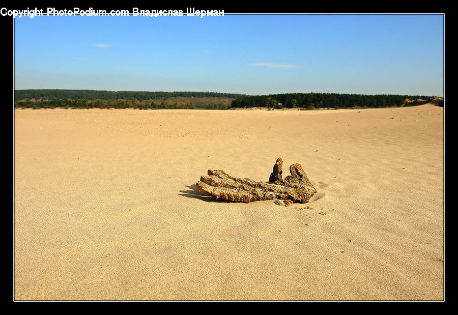 Desert, Outdoors, Rattlesnake, Reptile, Snake, Sand, Soil