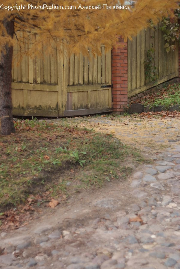 Dirt Road, Gravel, Road, Yard, Flagstone, Field, Grass