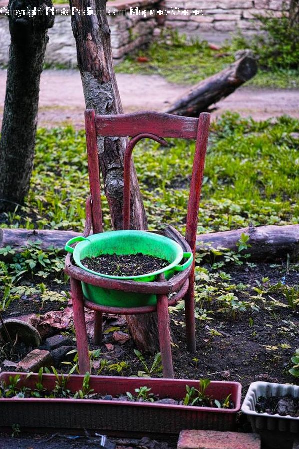 Chair, Furniture, Bowl, Agaric, Amanita, Fungus, Mushroom