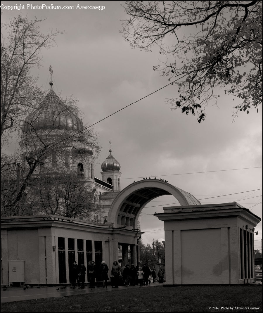 Building, Housing, Villa, Arch, Column, Pillar, Downtown