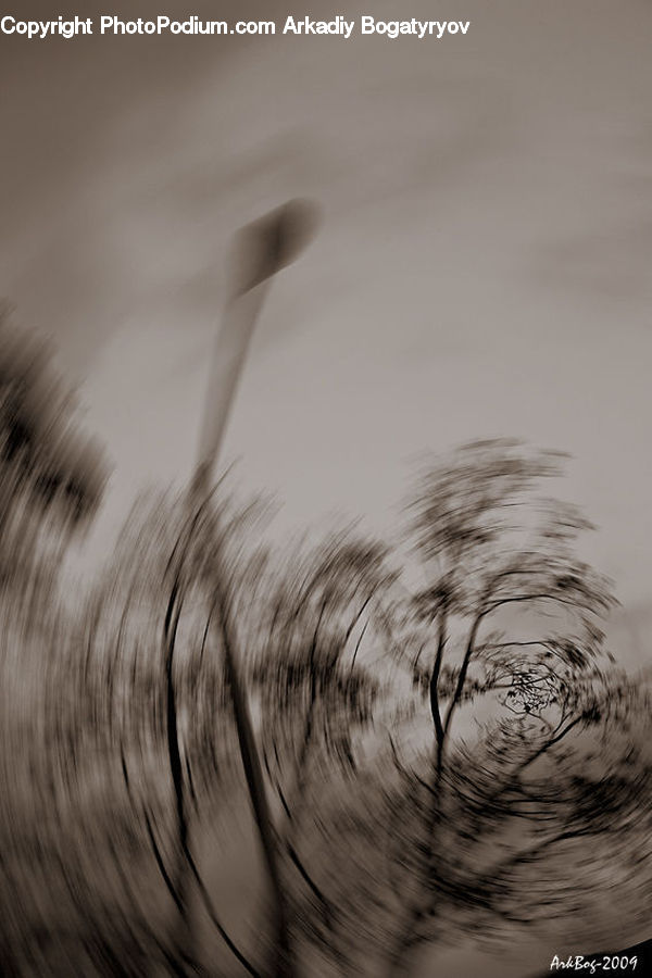 Grass, Plant, Reed, Field, Grassland, Outdoors, Sand
