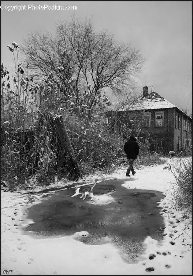 Ice, Outdoors, Snow, Water, Countryside, Path, Trail