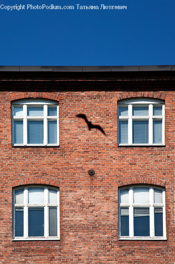 Brick, Apartment Building, Building, High Rise, Window, Shutter, Window Shade