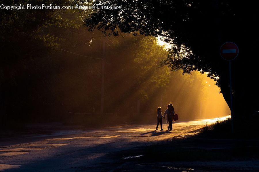 Dirt Road, Gravel, Road, Light, Leisure Activities