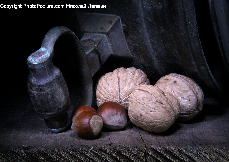 Acorn, Plant, Seed, Onion, Produce, Shallot, Vegetable