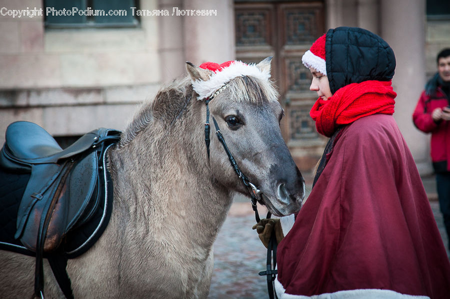 Saddle, Animal, Equestrian, Horse, Person, Bonnet, Hat