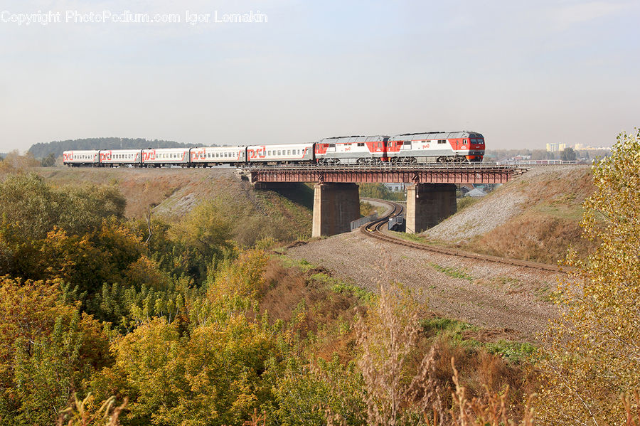 Train, Vehicle, Freeway, Overpass, Bridge, Viaduct, Road