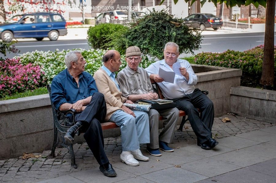 People, Person, Human, Bench, Senior Citizen, Plant, Potted Plant