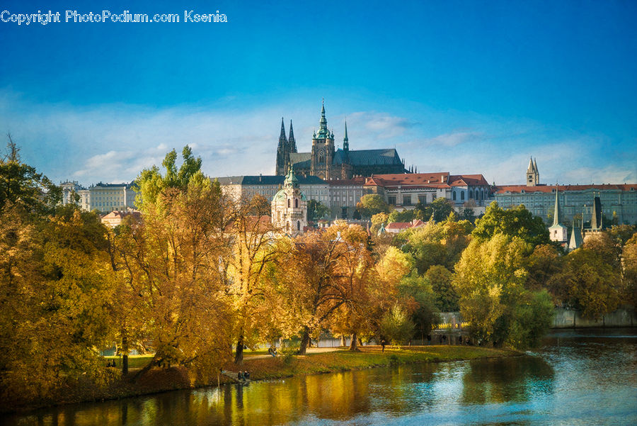 Architecture, Castle, Fort, Cathedral, Church, Worship, Plant