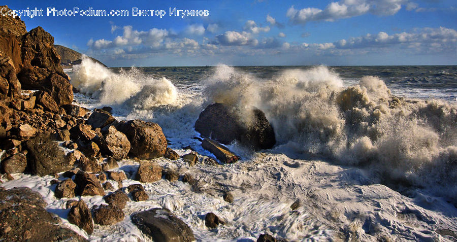 Outdoors, Sea, Sea Waves, Water, Coast, Bird, Grouse