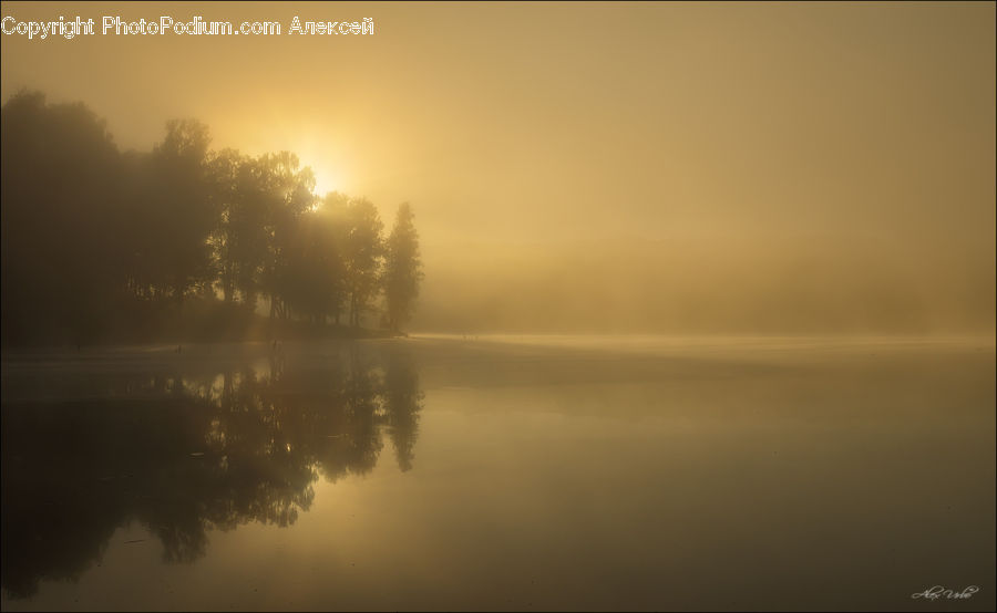 Fog, Dawn, Dusk, Sky, Sunrise, Sunset, Mist