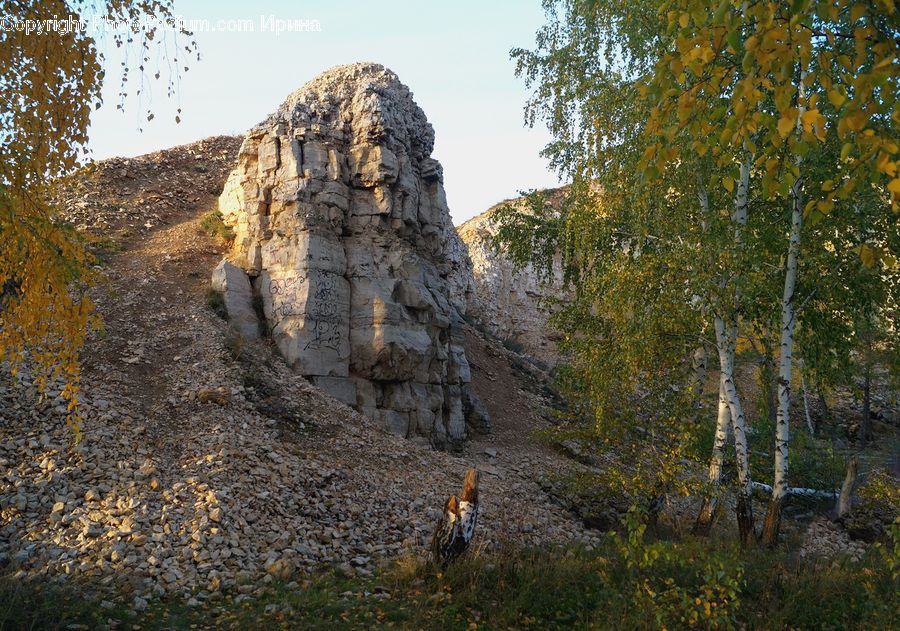 Birch, Tree, Wood, Ruins, Grassland, Mound, Cliff