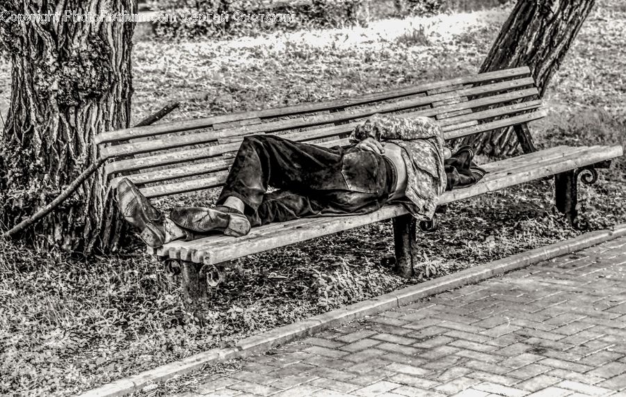 Bench, Park Bench