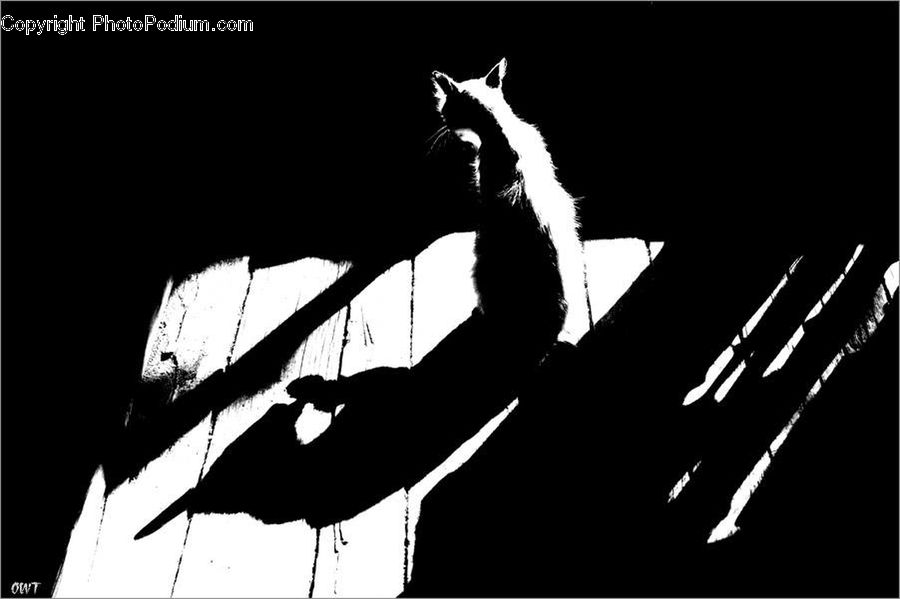 Silhouette