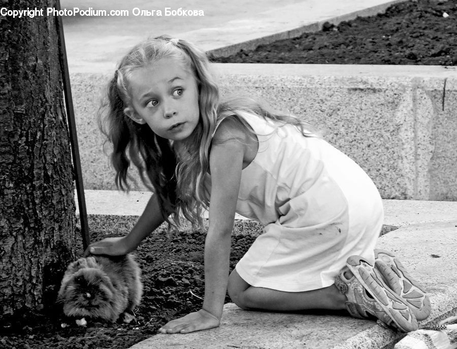 People, Person, Human, Animal, Chow, Dog, Pet