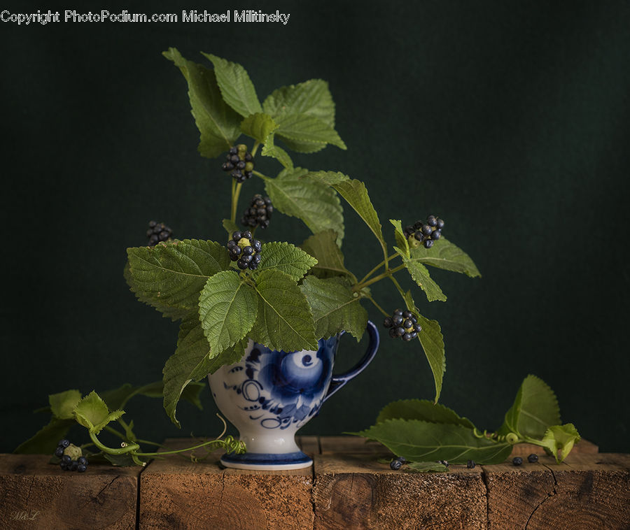 Fruit, Grapes, Plant, Vine, Soil, Weed, Leaf