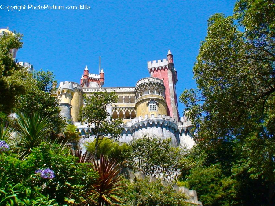 Architecture, Castle, Fort, Dome, Mosque, Worship, Conifer