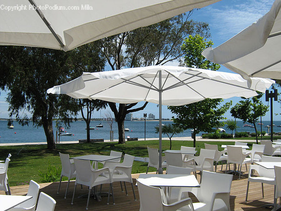 Chair, Furniture, Dining Table, Table, Canopy, Food Court, Field