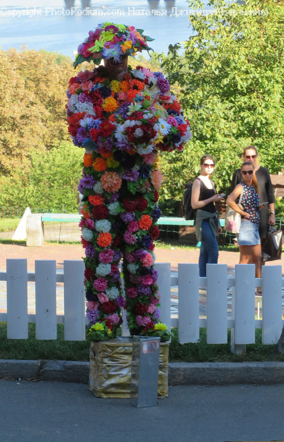 Plant, Potted Plant, People, Person, Human, Clown, Performer