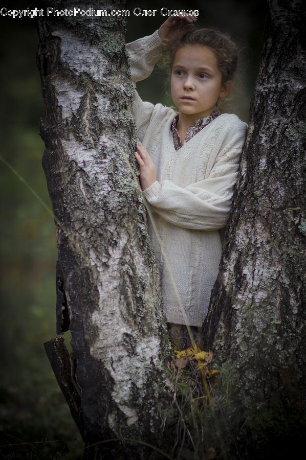 Human, People, Person, Leisure Activities, Birch, Tree, Wood
