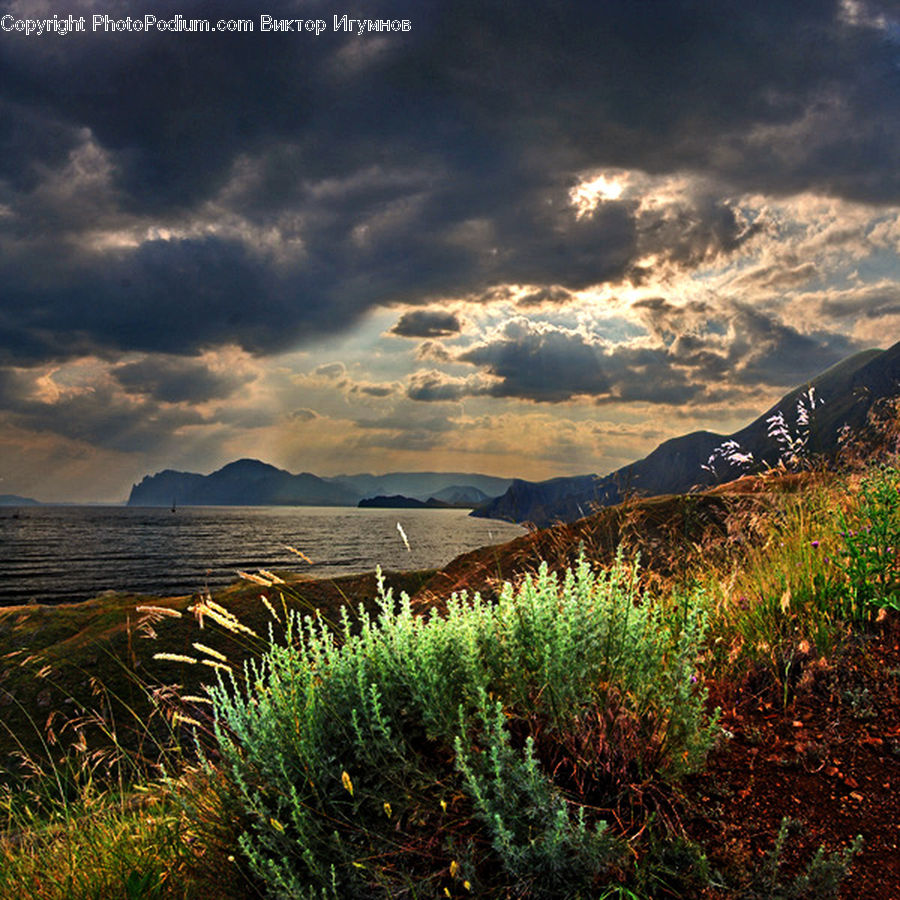 Field, Grass, Grassland, Plant, Land, Outdoors, Crest