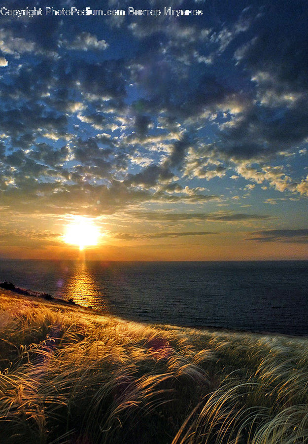 Dawn, Dusk, Sky, Sunrise, Sunset, Field, Grass
