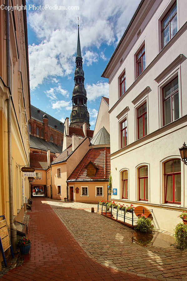 Architecture, Spire, Steeple, Tower, Plant, Potted Plant, Downtown