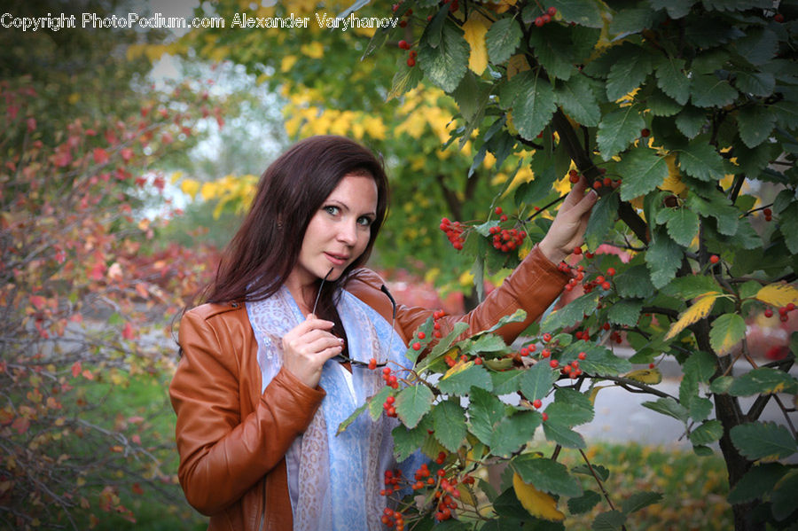 Human, People, Person, Plant, Vine, Fruit, Grapes