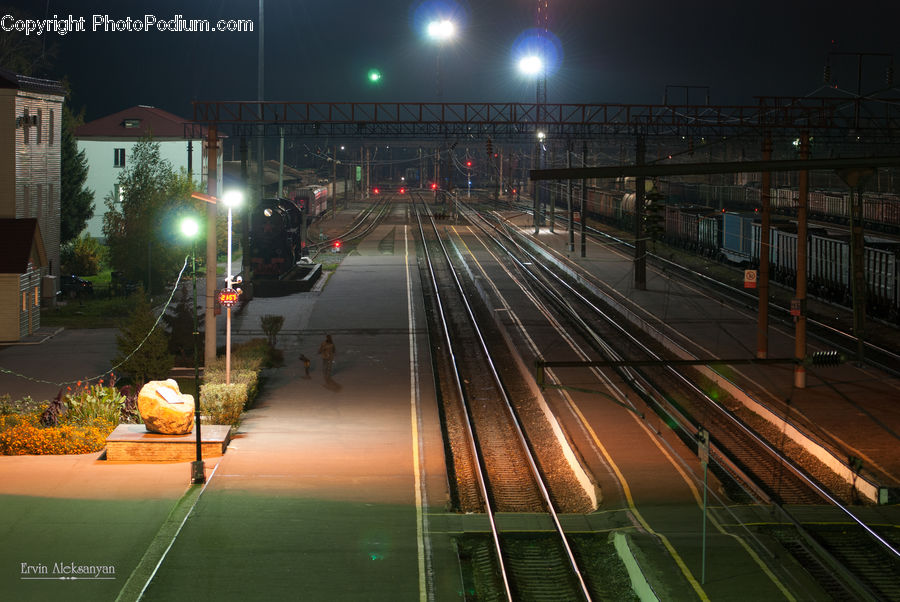 Plant, Potted Plant, Train, Vehicle, Rail, Train Track, Freeway