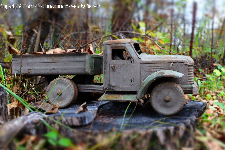 Bulldozer, Tractor, Vehicle, Car, Jeep, Offroad, Plant