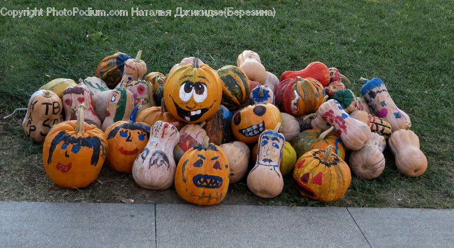 Pumpkin, Squash, Vegetable, Gourd, Produce, People, Person