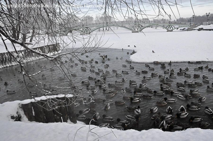 Ice, Outdoors, Snow