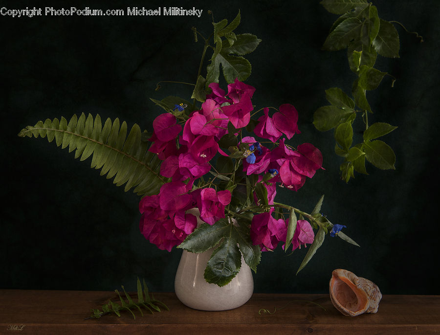Floral Design, Flower, Flower Arrangement, Flower Bouquet, Ikebana, Blossom, Flora