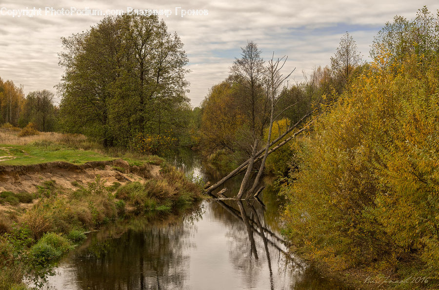 Canal, Outdoors, River, Water, Ditch, Field, Grass