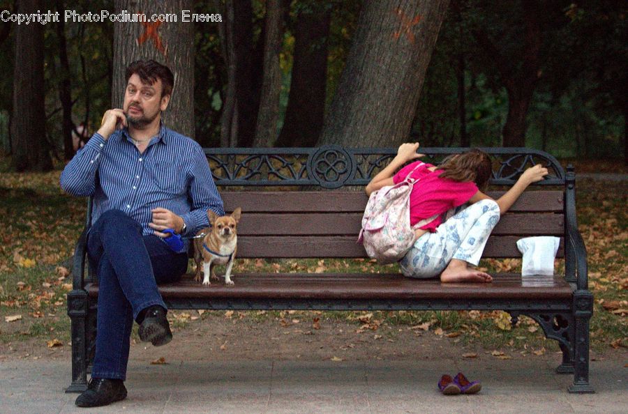 Human, People, Person, Park Bench, Chair, Furniture, Bench