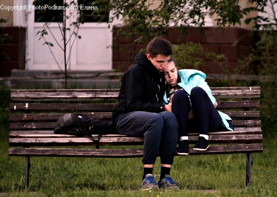 Plant, Potted Plant, Bench, People, Person, Human, Ivy