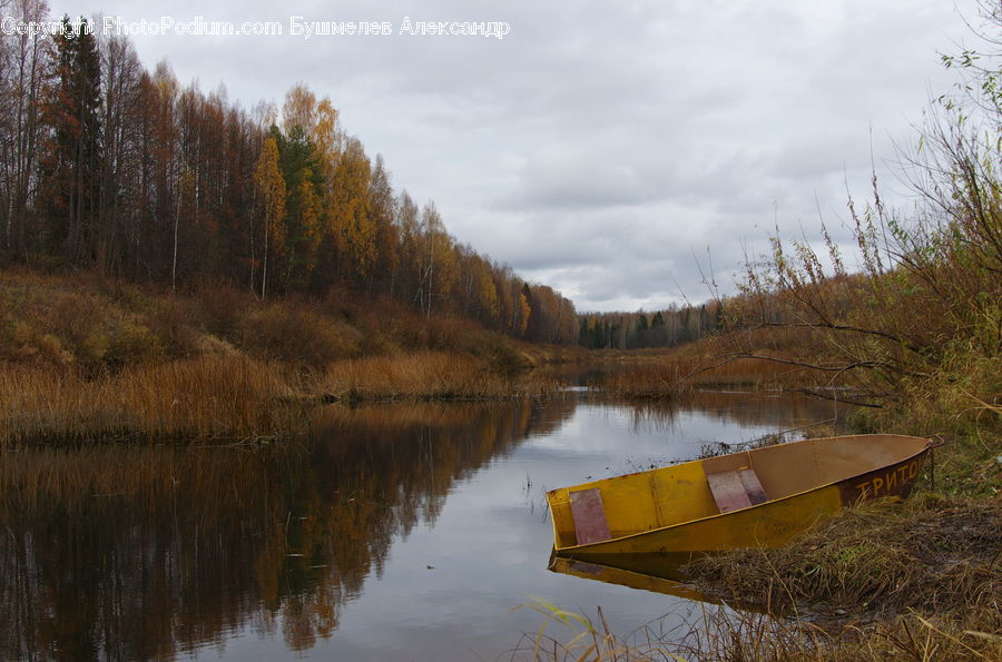 Boat, Canoe, Rowboat, Dinghy, Land, Marsh, Outdoors