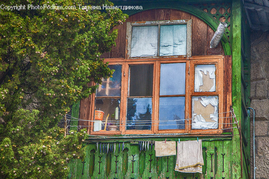 Window, Building, Cottage, Housing, Ivy, Plant, Vine