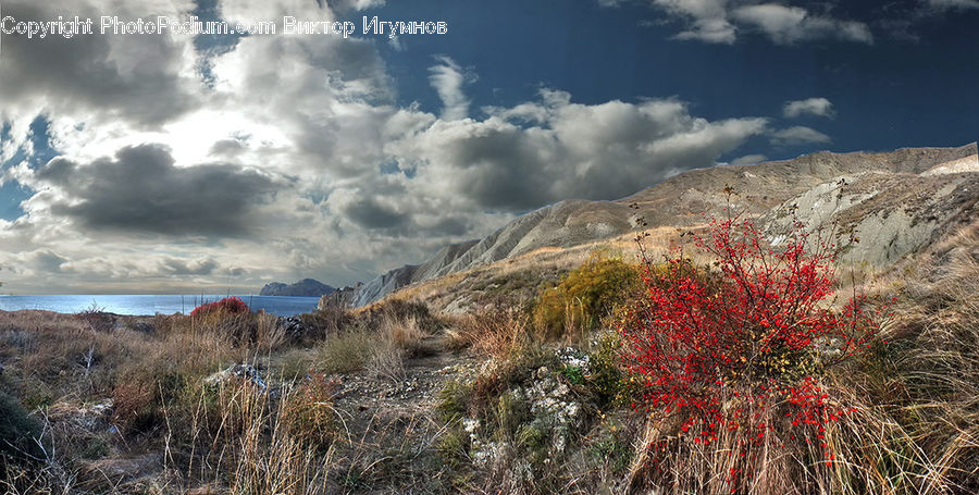 Crest, Mountain, Outdoors, Peak, Field, Grass, Grassland