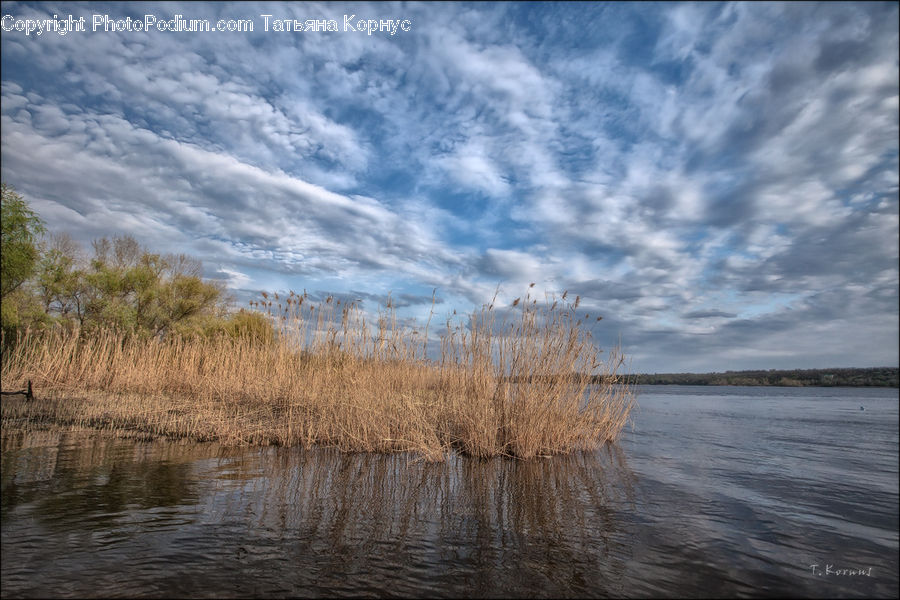 Lake, Outdoors, Water, Field, Grass, Grassland, Plant