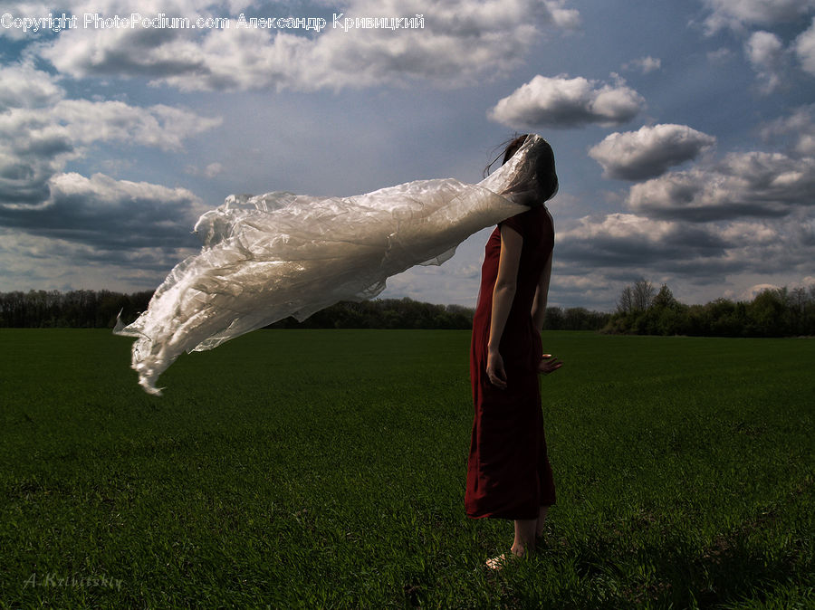 Kicking, Field, Grass, Grassland, Plant, Land, Outdoors